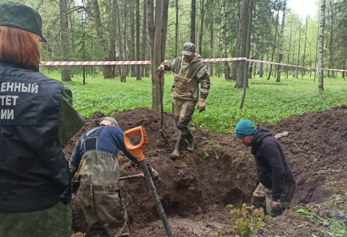 Массовое захоронение времен Великой Отечественной войны обнаружено в Ленинградской области